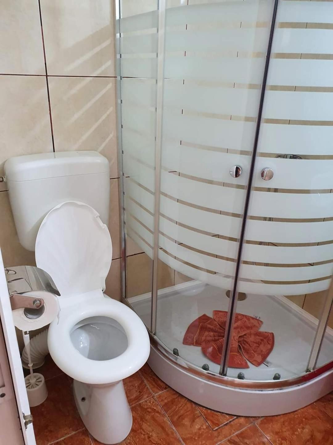 Отель Vila Robert Schitu Экстерьер фото