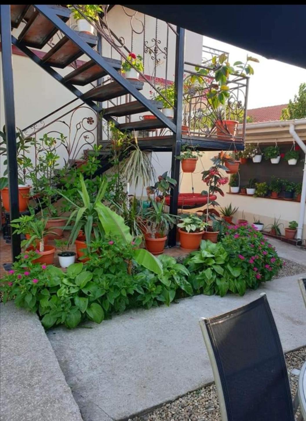 Отель Vila Robert Schitu Экстерьер фото