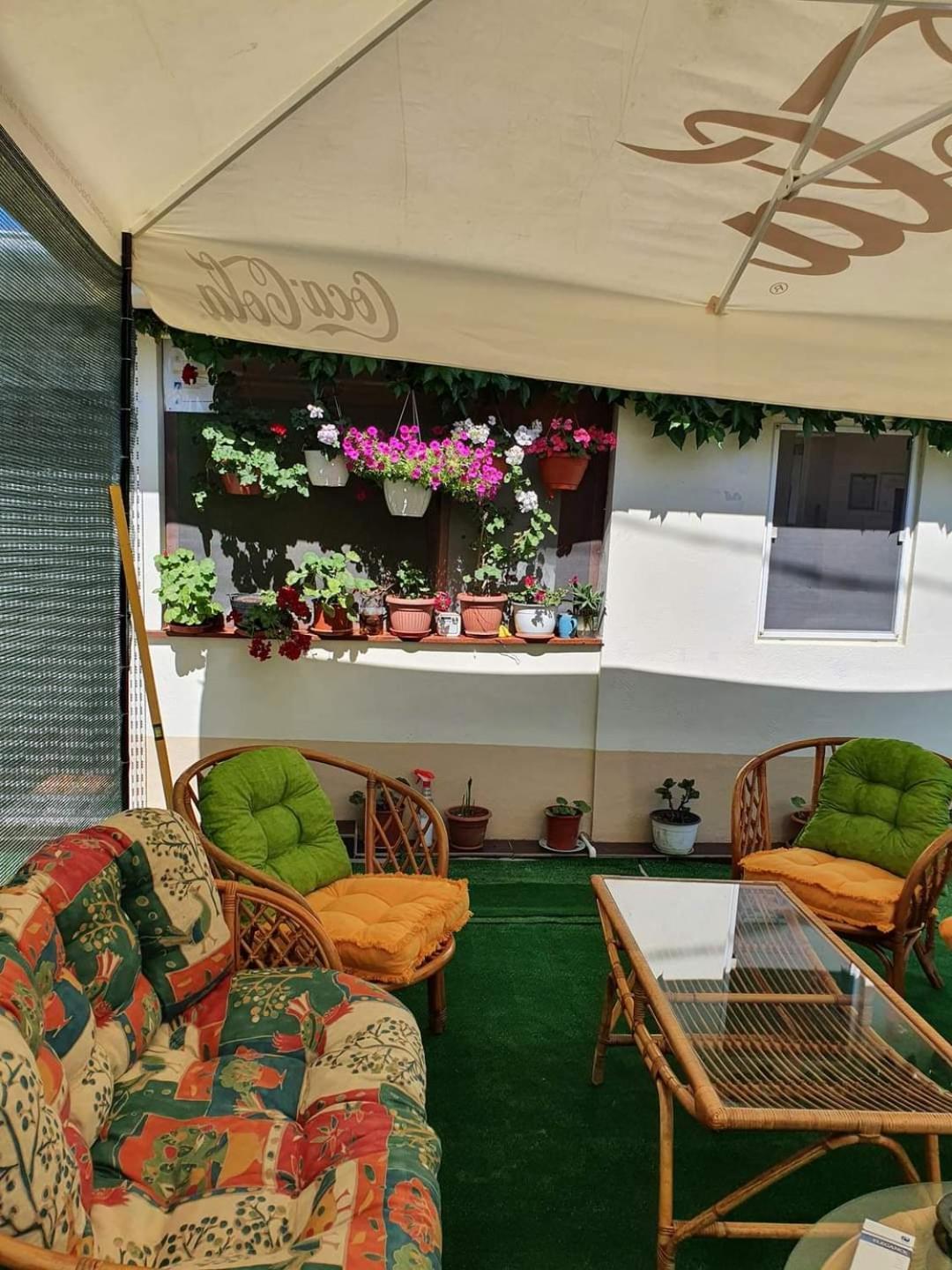 Отель Vila Robert Schitu Экстерьер фото