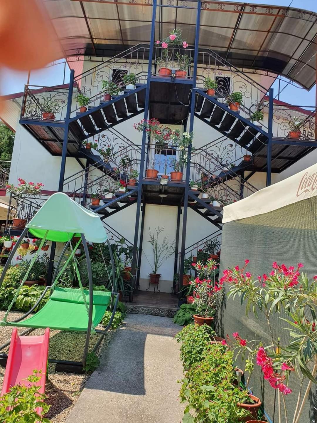 Отель Vila Robert Schitu Экстерьер фото